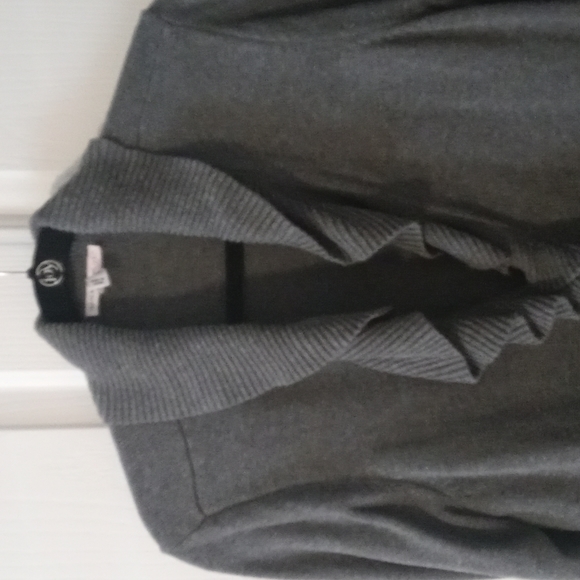 Isaac Mizrahi Sweaters - ISAAC MIZRAHI LIVE GRAY SWEATER 1X